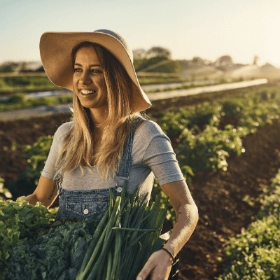 Young farmer carrying a crate of freshly harvested herbs on the farm